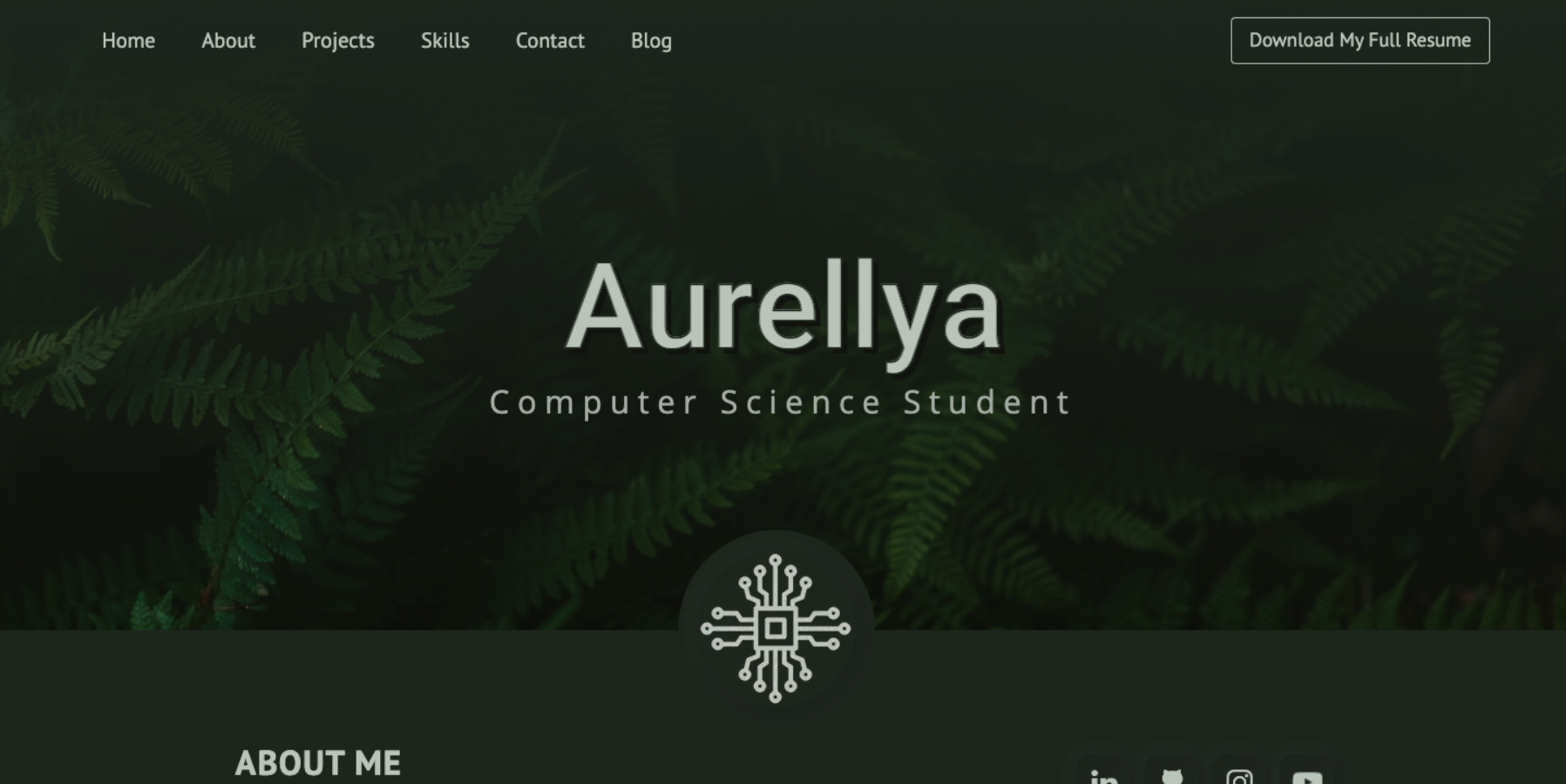 Previous personal portfolio website